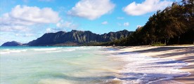 Hawaii crafts and inspiration
